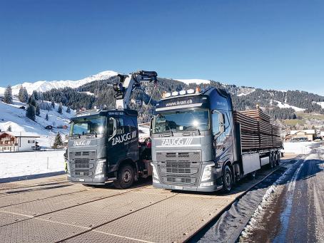 Krane, Transport, Arbeitshebebühnen, Bodenschutz